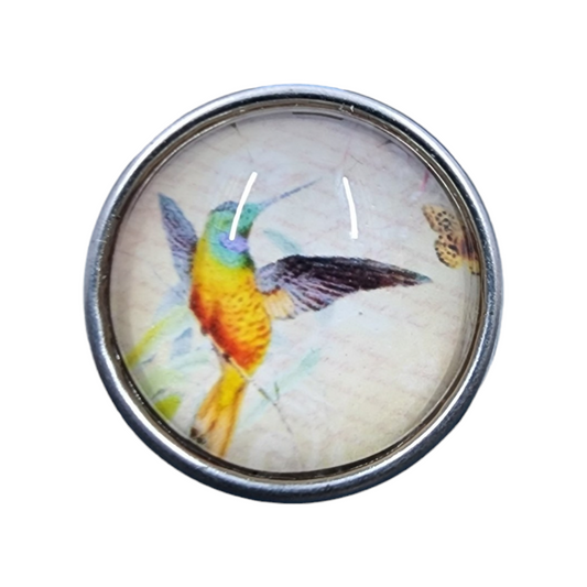 Multicolor Humming Bird Snap