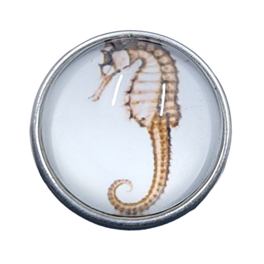 Brown and White Seahorse Snap