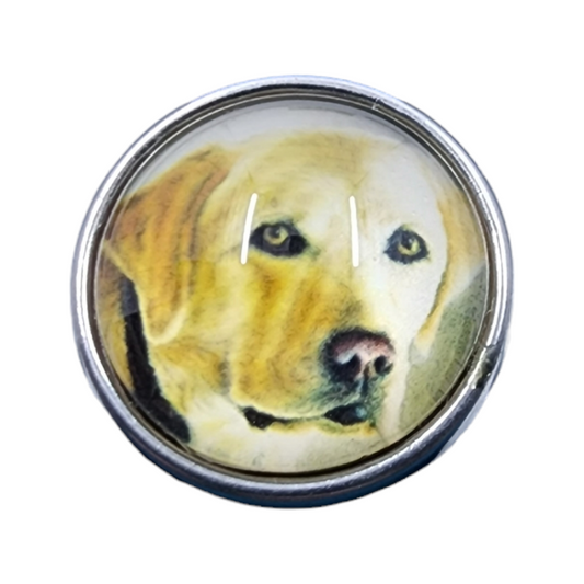 Multicolor Labrador Dog Snap